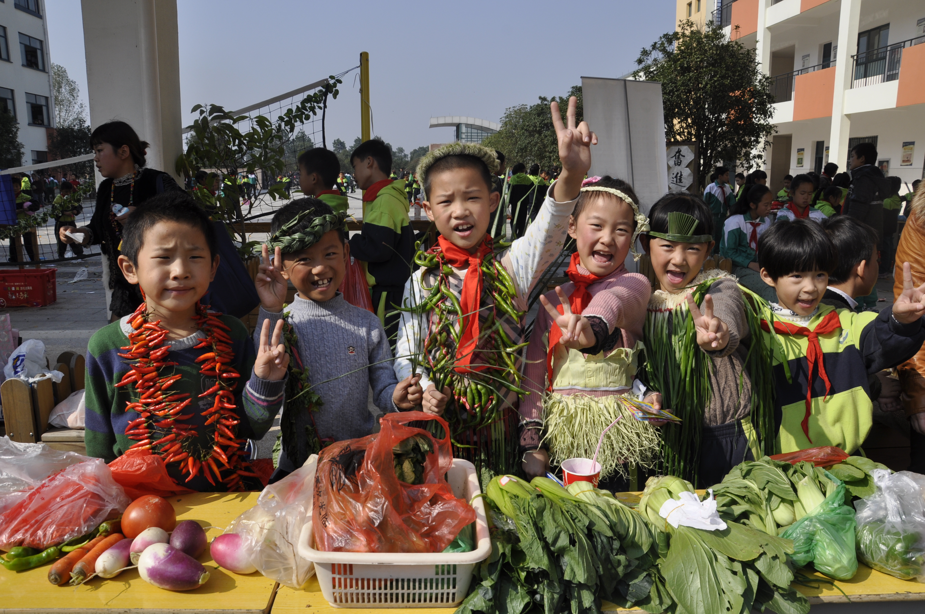 走课程改革之路 显自然教育特色_浙江教育在线