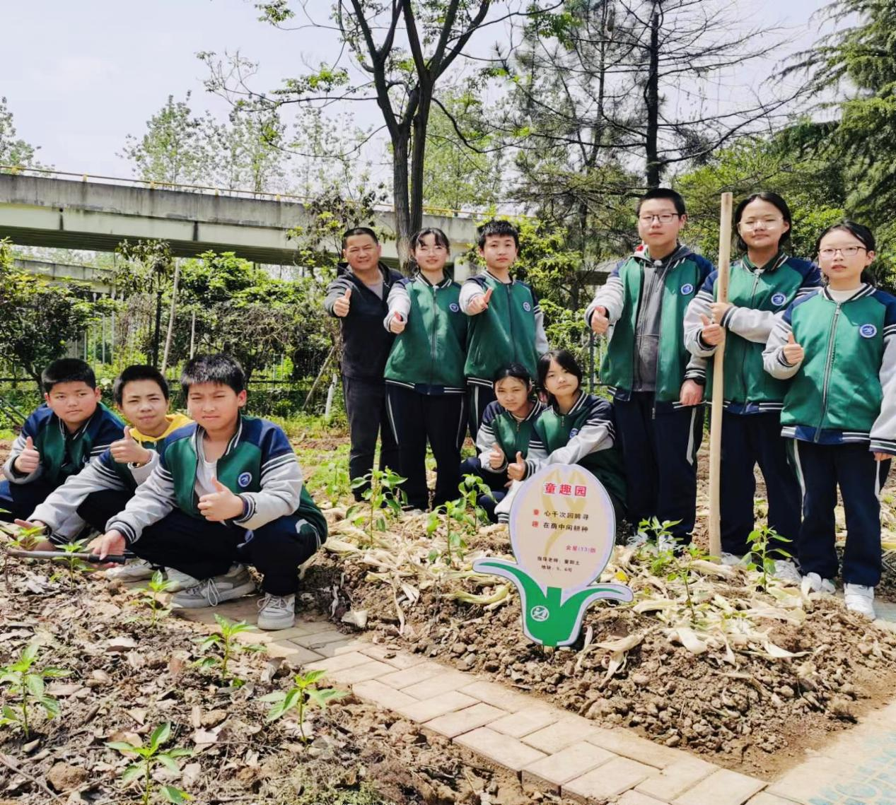 龙游县第三中学“一米菜园”今天开园啦！